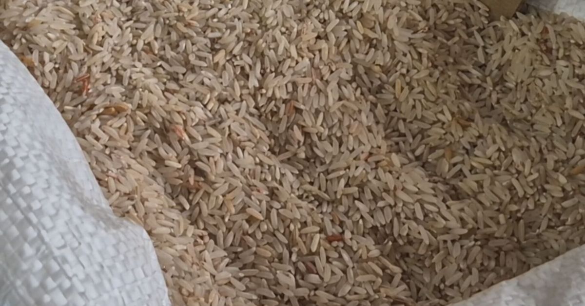 Molineros advierten que seguridad alimentaria debe prevalecer ante posible alza del arroz