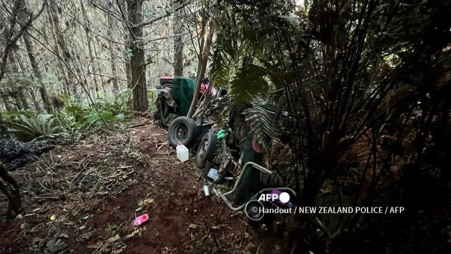 Imagen de la zona boscosa donde Tom Phillips mantuvo escondidos a sus hijos