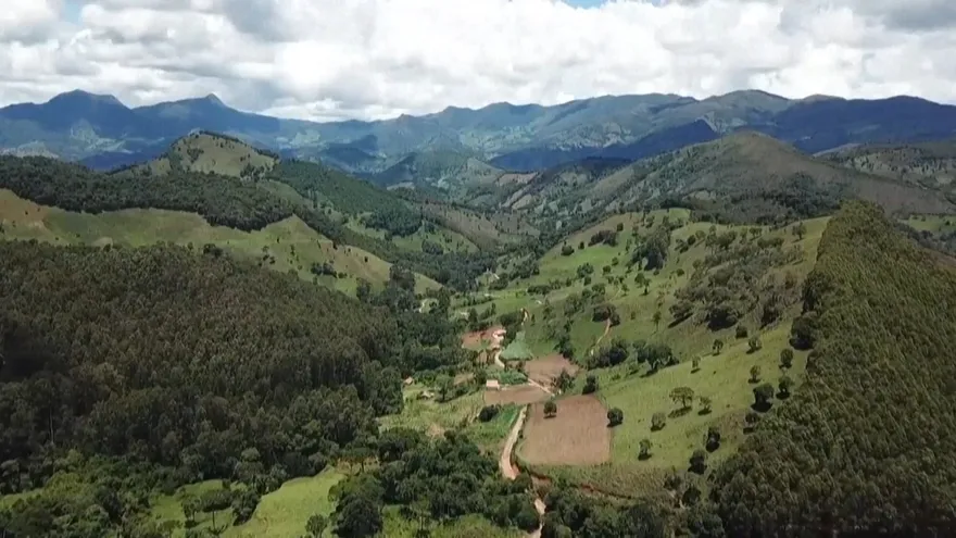 El queso brasileño, un desconocido en el podio mundial