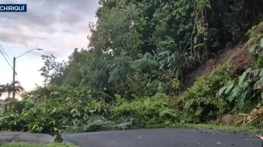 Lluvias en Chiriquí dejan caídas de árboles, deslizamiento de tierra