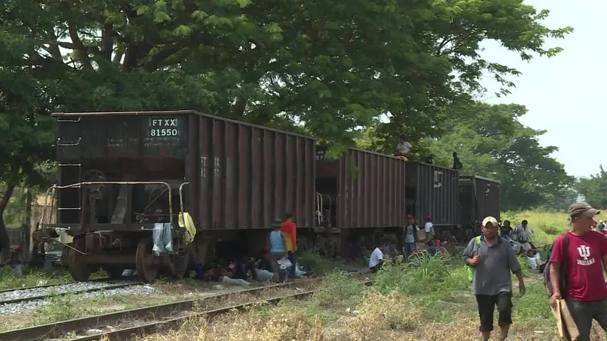 Obstáculos para caravana migrante subir al tren o seguir a pie