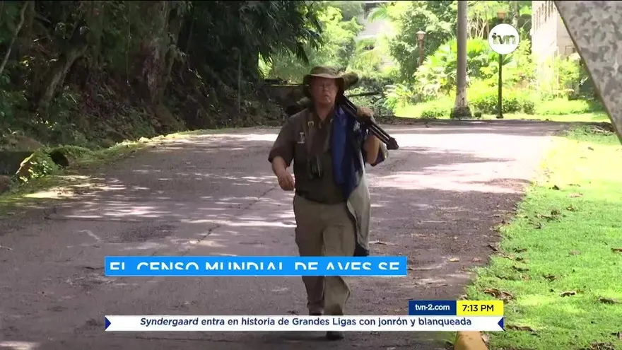 Panamá se prepara el Global Big Day