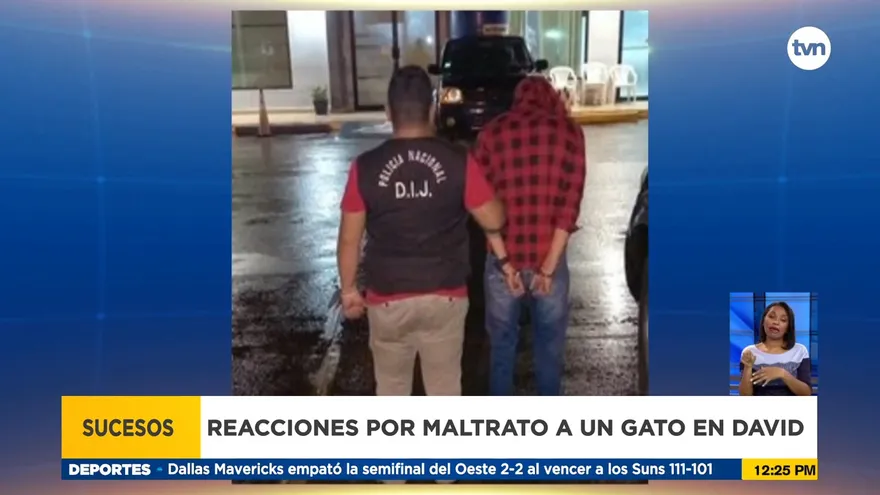 Aprehenden a joven que mató a un gato y se grabó