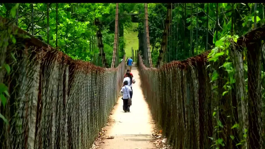 Noticiero AM 29 de agosto de 2017 - Bloque 2