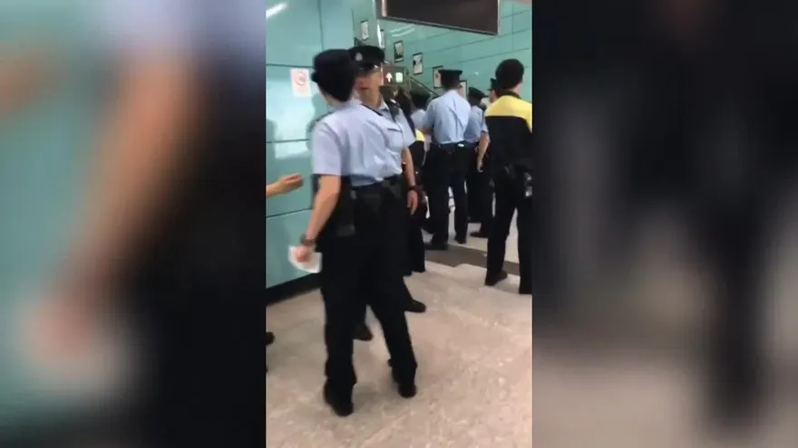 Un jabalí se sube al metro de Hong Kong y sorprenden a los viajeros
