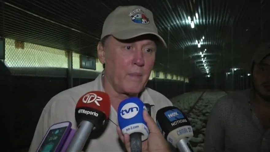 Fluctuaciones de energía eléctrica vuelven a causar pérdidas a productores