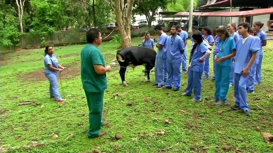 El veterinario ocueño