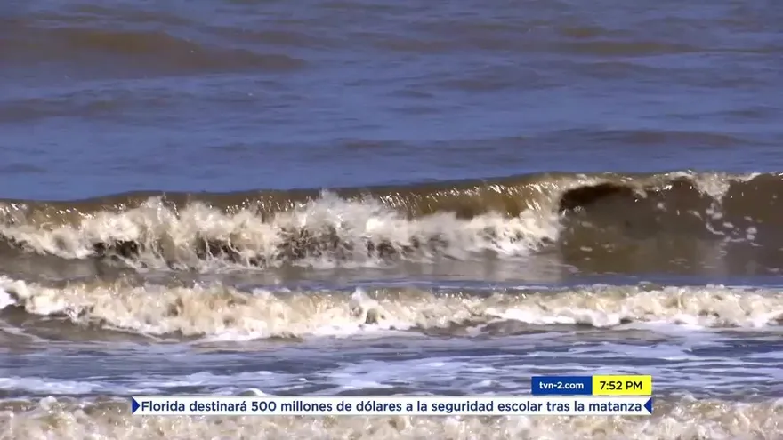 Las serpientes marinas