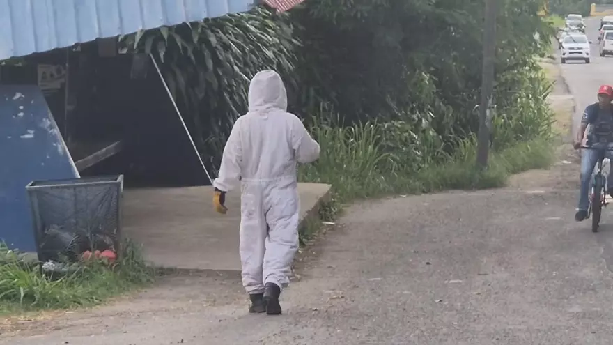 Personal del Cuerpo de Bomberos revisando la caseta donde atacaron las abejas africanizadas