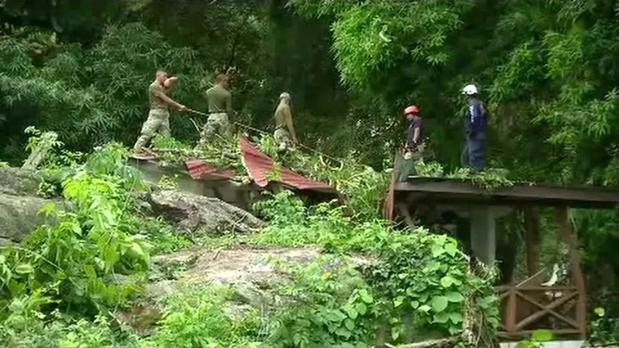 Agentes del Sinaproc y Senan remueven árboles caídos en Taboga