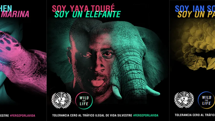 La modelo brasileña Gisele Bündchen y el jugador del Manchester City, Yaya Touré, son algunas de las celebridades que apoyan la campaña impulsada por la Organización de las Naciones Unidas