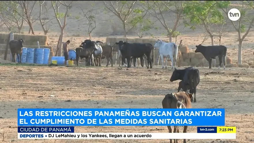 Costa Rica inicia disputa con Panamá en la OMC