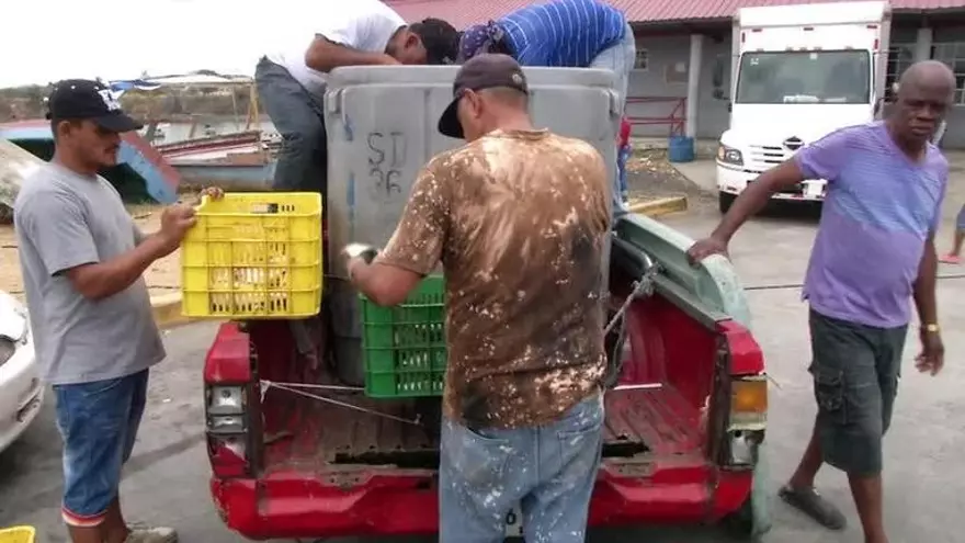 Pescadores piden a la ARAP cumplir la ley existente