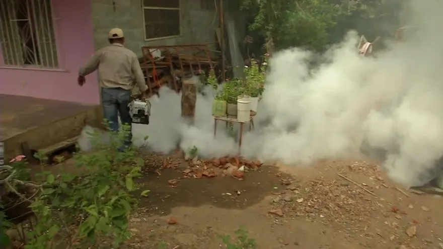 Aumentan a 118 los casos de zika en Panamá
