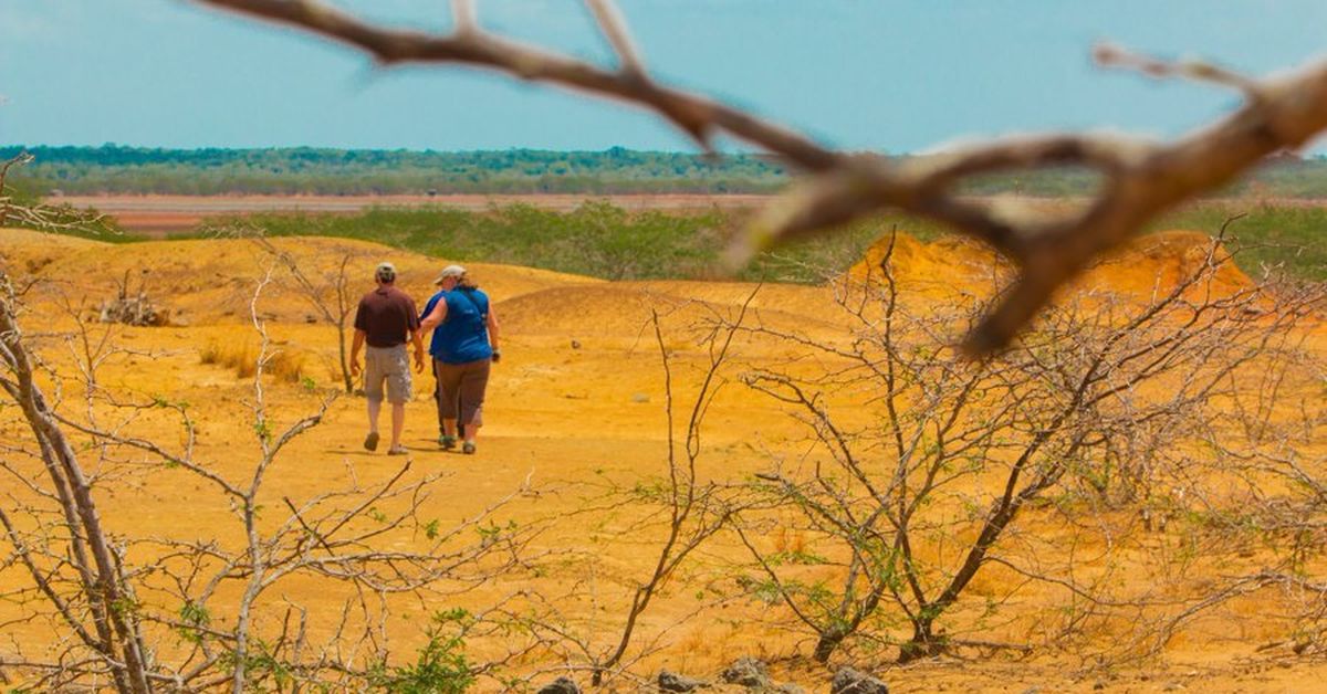 Refuerzan protección del Cenegón del Mangle durante actividades del Día de la Tierra