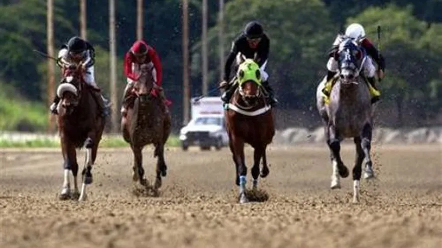 Criminalidad amenaza a purasangres venezolanos