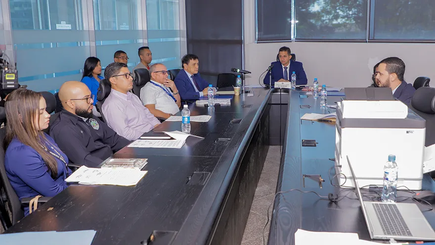 Este proyecto de ley busca fortalecer la accesibilidad y seguridad vial para personas con discapacidad visual.