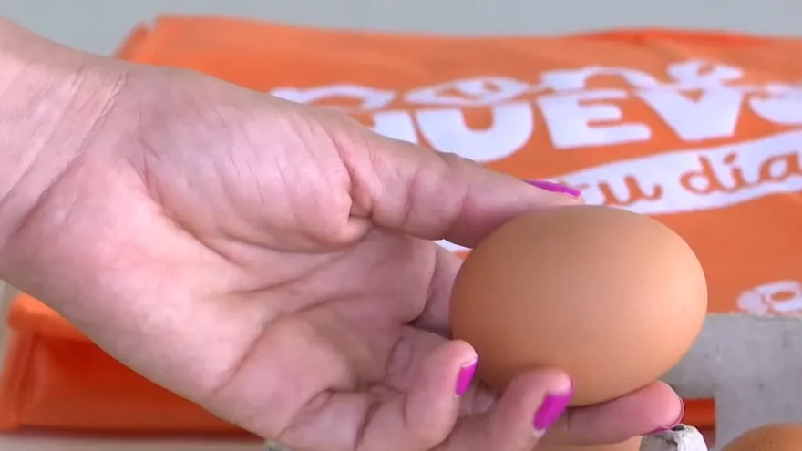 Panameños consumen 171 huevos al año