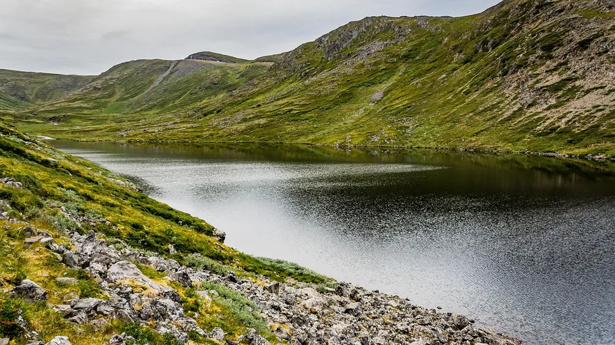 Imagen con fines ilustrativos de naturaleza, medio ambiente y paisajes.