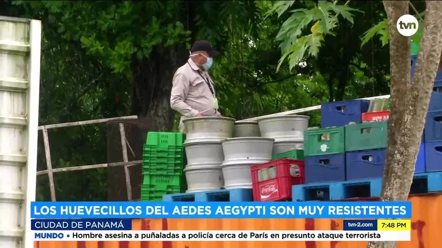 Aumenta riesgo de proliferación del aedes aegypti