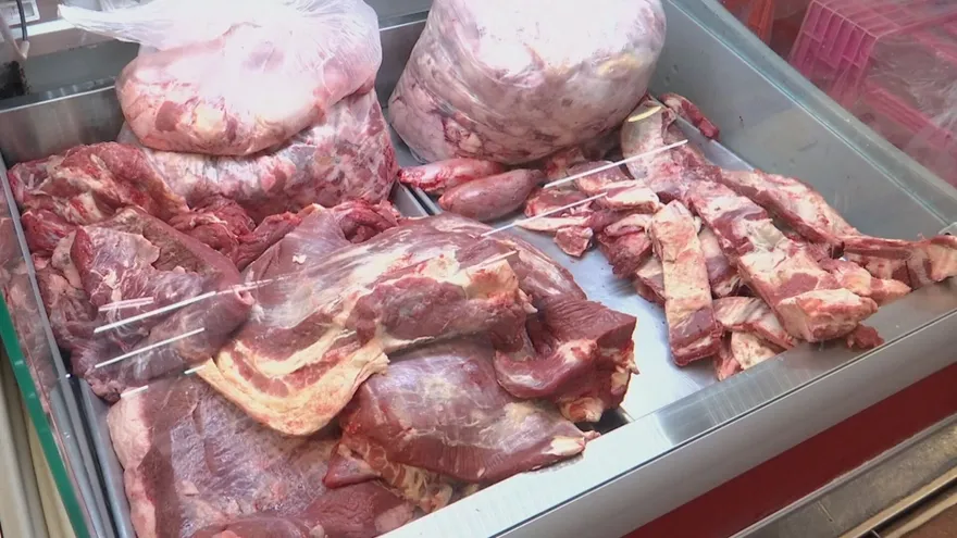 Proteínas panameñas.