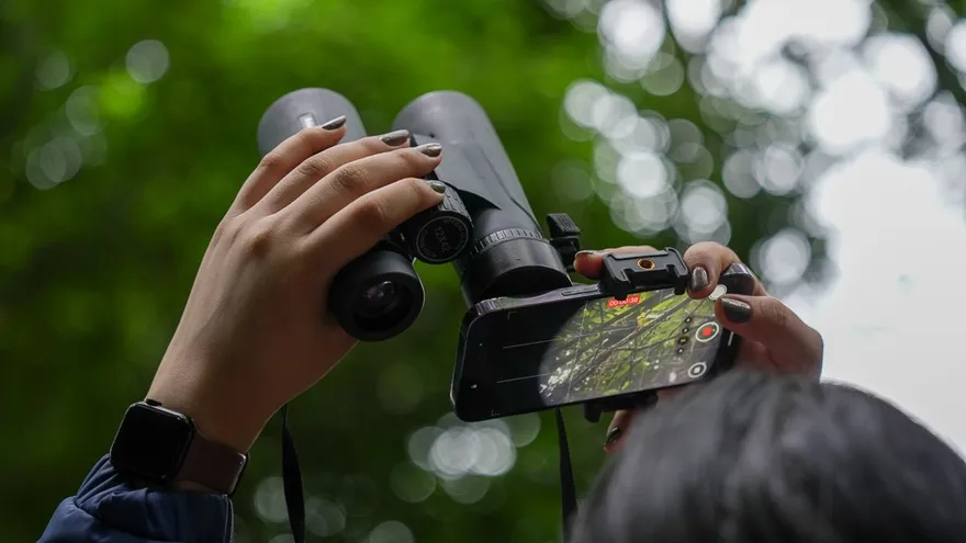 Panameños observando aves