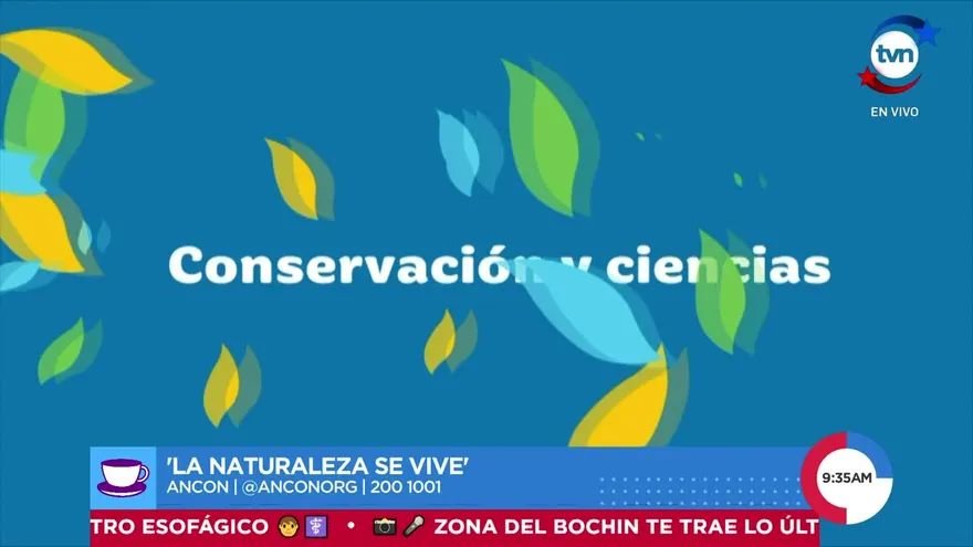Ancón celebra 40 años de conservación