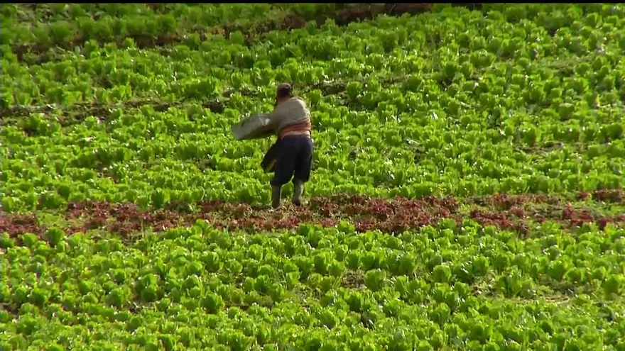 Productores de Tierras Altas presionan al Gobierno