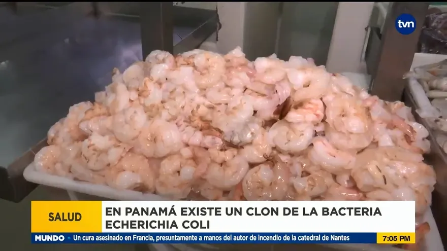 Científicos descubrieron en Panamá un clon de una bacteria