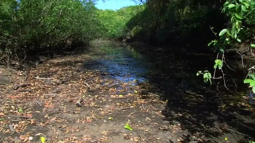 Alcaldes del Interior preocupados por sequía