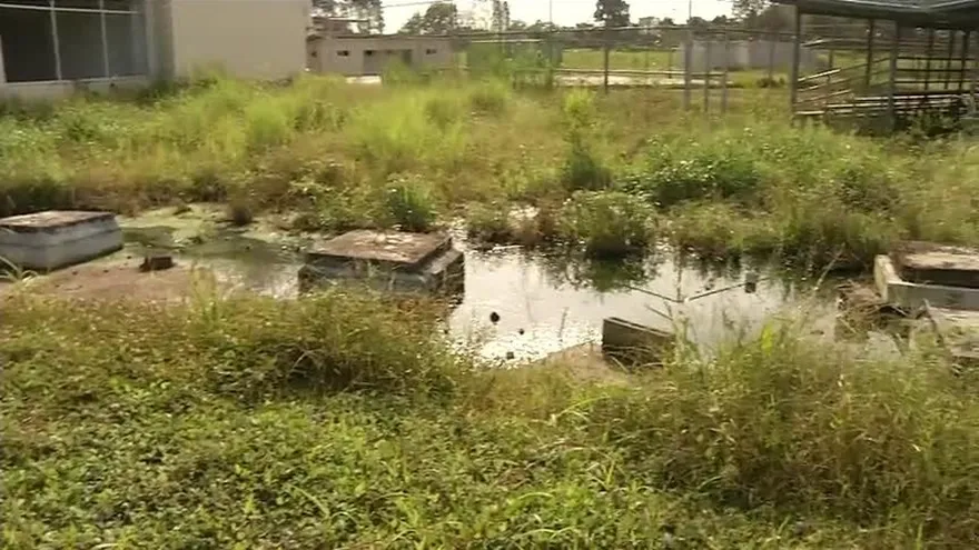 Padres de familia protestan por escuela en mal estado en Pacora