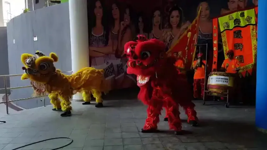 Comunidad China celebra el Año del Gallo