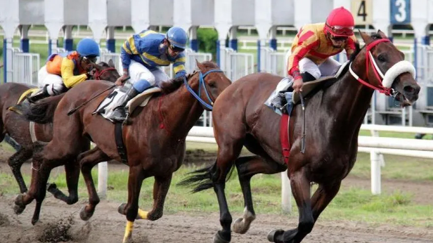 Revelan plan de apertura para las carreras en el Hipódromo Presidente Remón