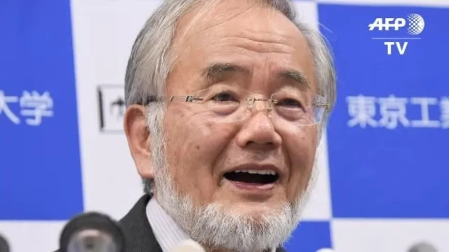 Nobel de Medicina para japonés especializado en autofagia