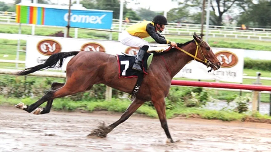 "Doña Luz" brilló al final en el Clásico Unión de Preparadores