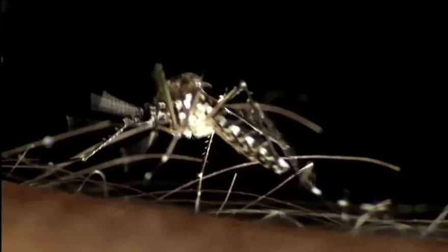 Se reporta drástico aumento de casos de zika en la capital