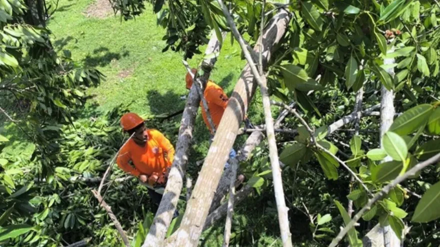 Sinaproc da balance de afectaciones por lluvia