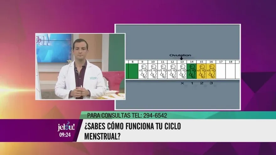 ¿Sabes cómo funciona el ciclo menstrual?