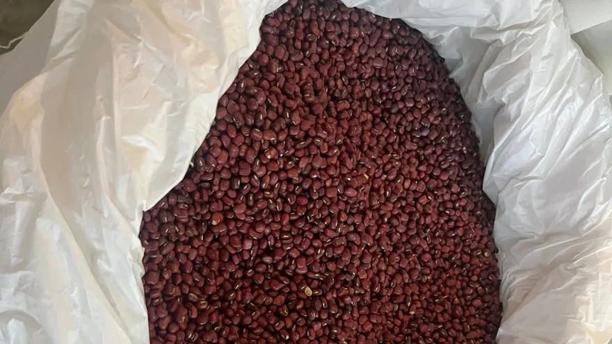 Panamanian beans to be canned following producer, IMA, and private sector alliance