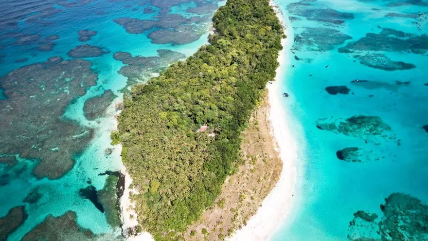 Las especies de tortugas marinas que anidan en las playas del Parque Nacional Marino Isla Bastimentos (Pnmib).