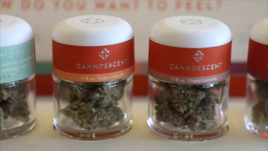 Venta de marihuana recreativa en California genera expectativa