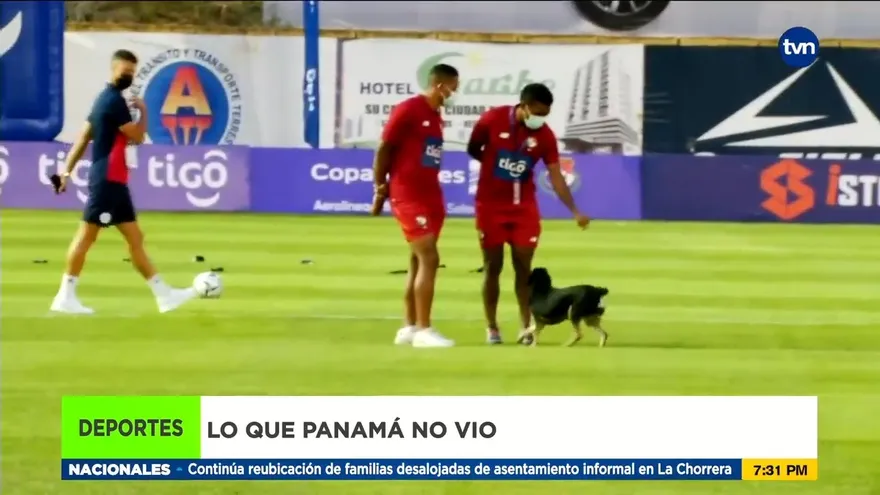 Lo que Panamá no vio