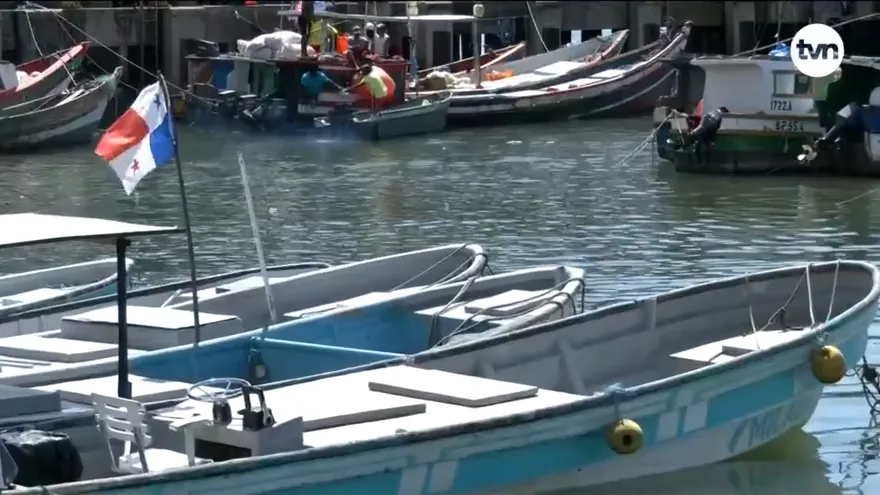 Pescadores ya no ven rentable el negocio de la pesca