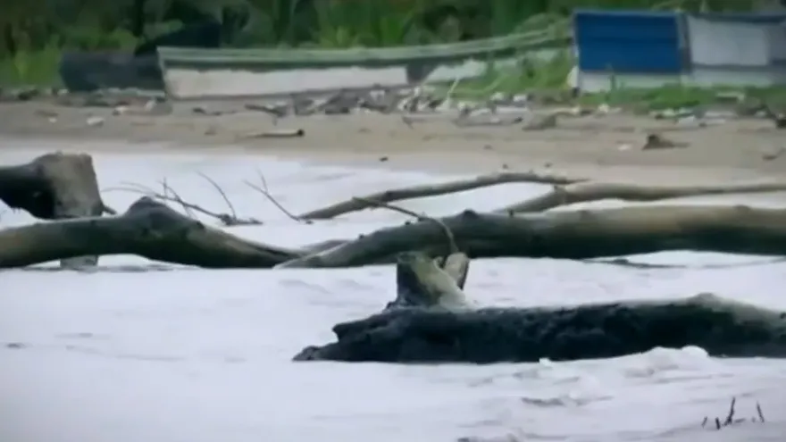 TVN Noticias ganó Premio Latinoamericano ‘Save The Children’