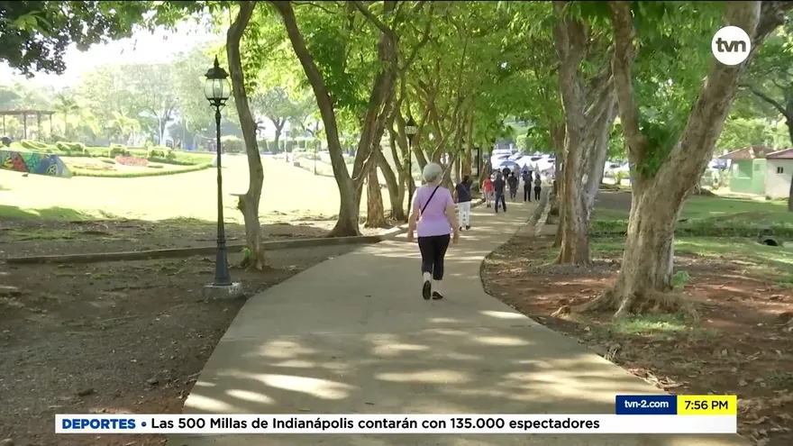 Cada árbol del Parque Omar contará su historia