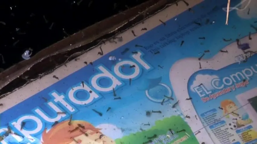 Aumentan a 24 los casos de Zika en Guna Yala