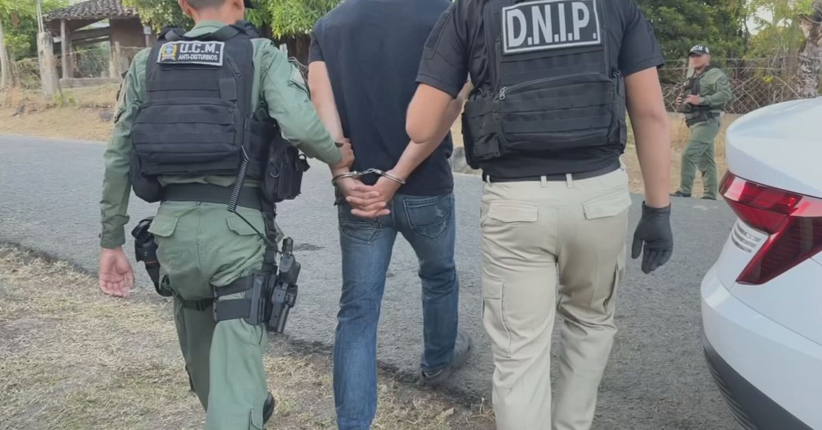 Aprehenden a 15 personas por presunta red dedicada al hurto de ganado ...