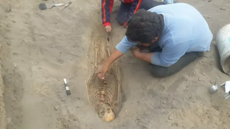 Hallan 227 restos de niños sacrificados en ritual precolombino en Perú