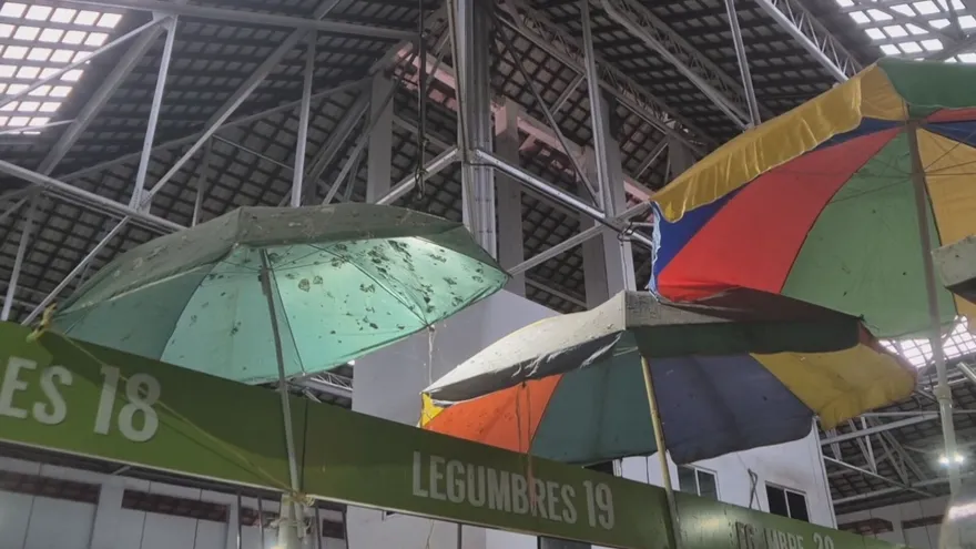 Insalubridad y pocas ventas afecta a comerciantes en el mercado de Colón