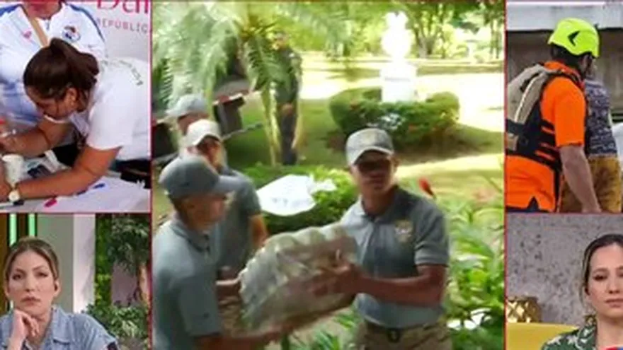Zule desde el centro de acopio del Parque Omar
